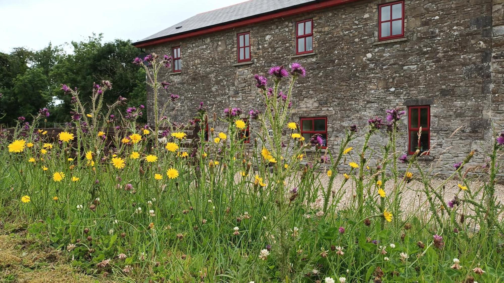 The Old Mill, Kilcorkey, Bellanagare, Castlerea, County Roscommon - West Of Ireland -House 1 Villa Buitenkant foto